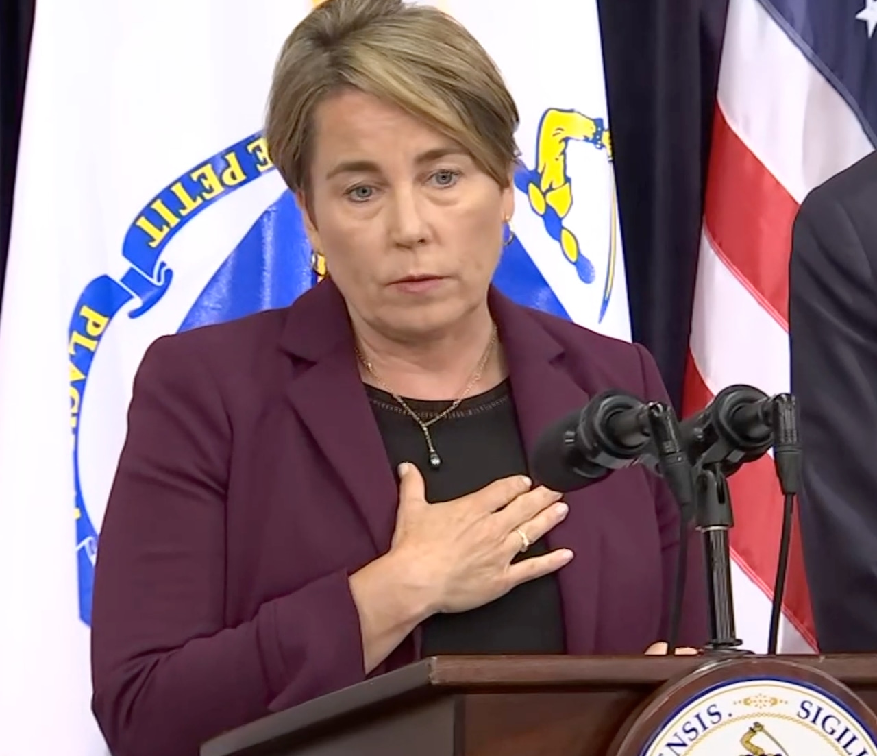 Good riddance and goodbye, Gov. Healey says as Mass. gets deals to keep Steward hospitals open [Video]