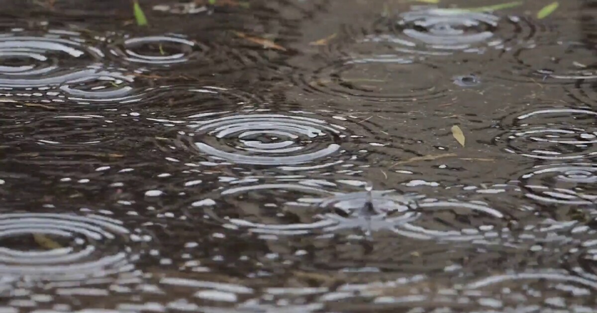 Scattered showers the rest of Sunday [Video]