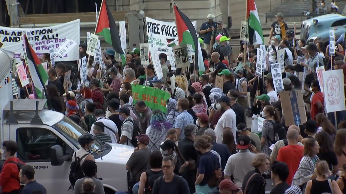 First protest takes over downtown Chicago day before DNC  NBC Chicago [Video]