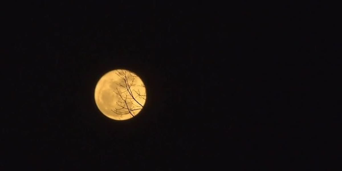 Look up to catch tonight’s rare super blue moon [Video]