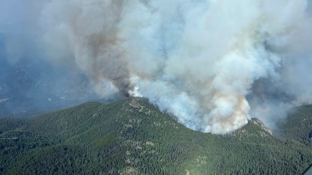 Huge Shetland Creek blaze now being held: B.C. Wildfire Service [Video]