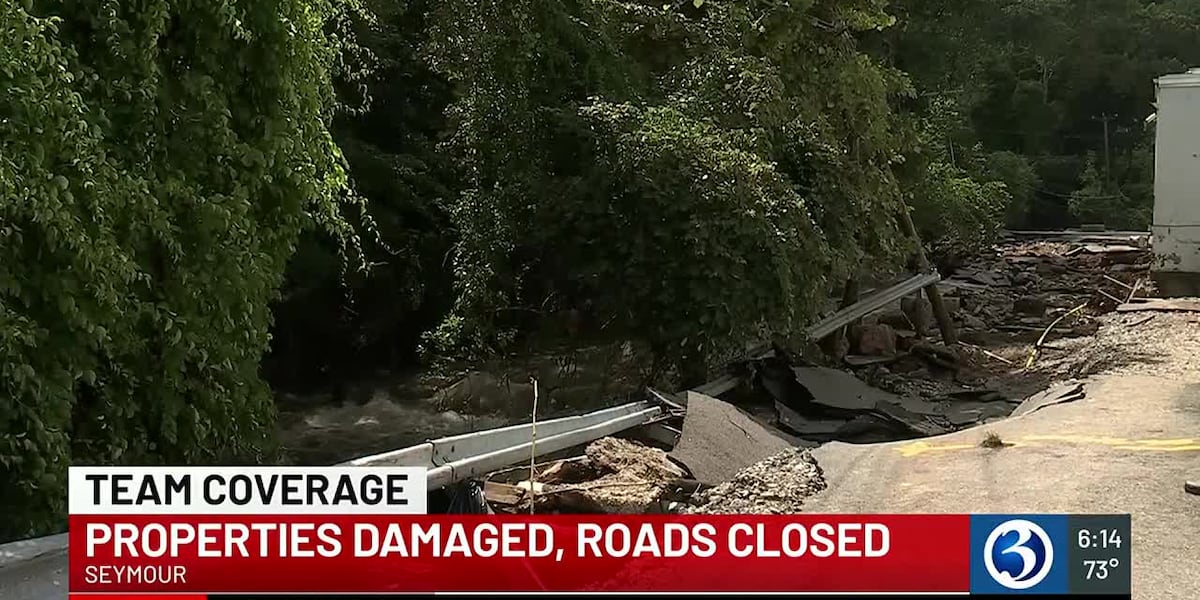 Cleanup underway from severe flooding in Seymour [Video]