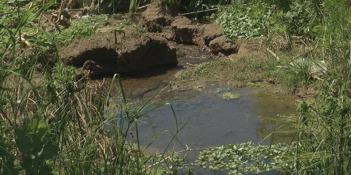 Grant helps local nonprofit clean up Santa Cruz River [Video]