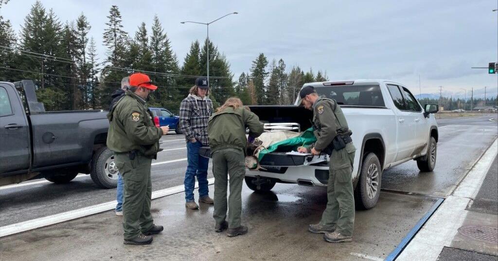 Idaho Fish and Game commission approves chronic wasting disease hunt | News [Video]