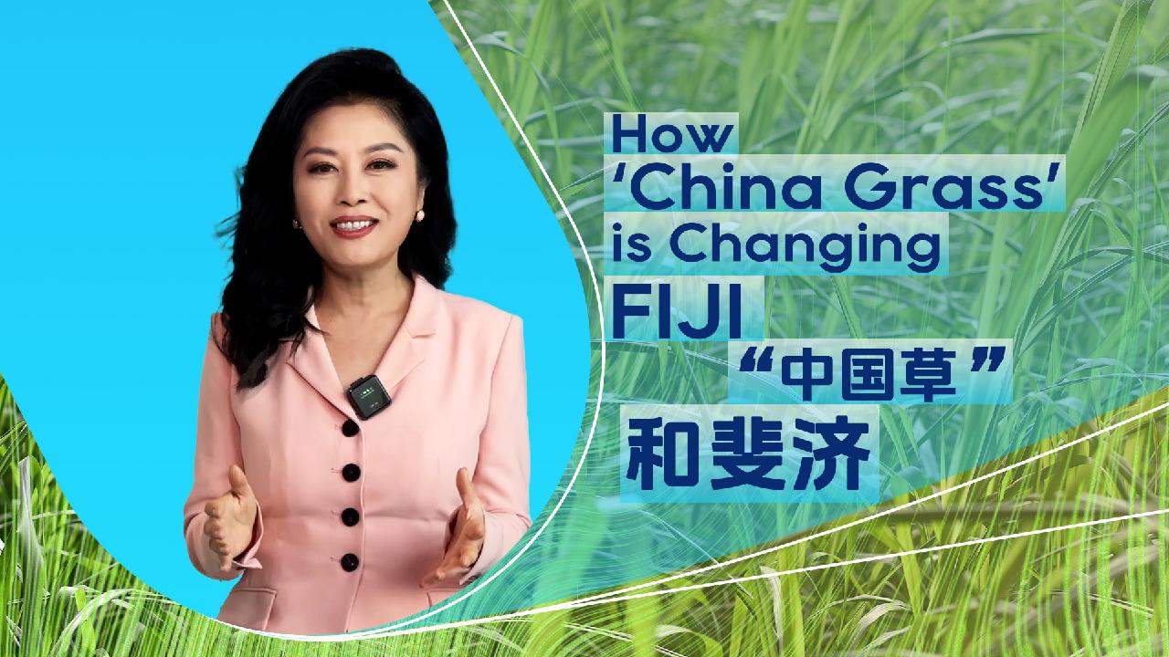 Global Watch Editor’s Pick Ep33: How ‘China Grass’ is changing Fiji [Video]