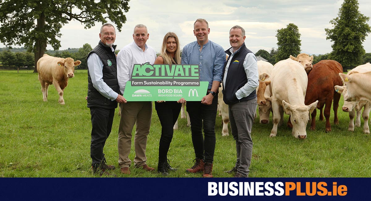 New incentivised sustainability programme for Irish beef farmers announced [Video]