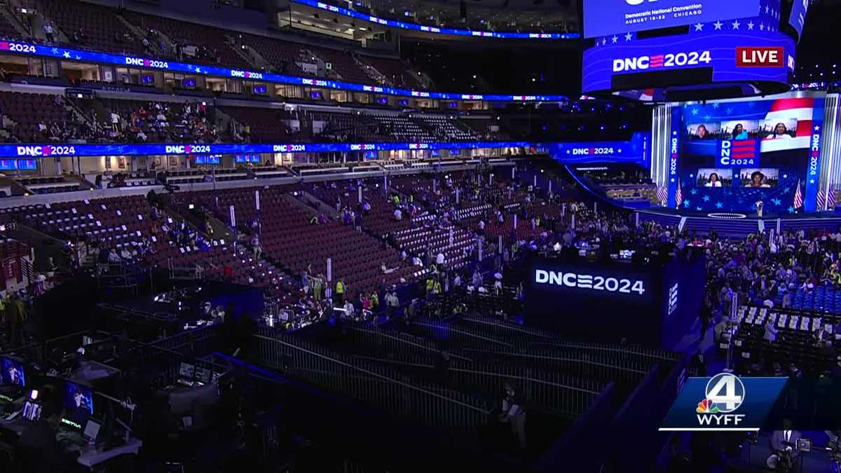 17-year-old Upstate girl is youngest DNC delegate [Video]