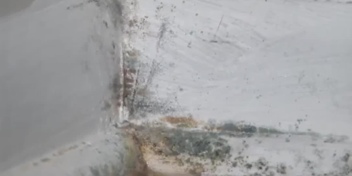 Mold remediation work spikes as more rain comes [Video]