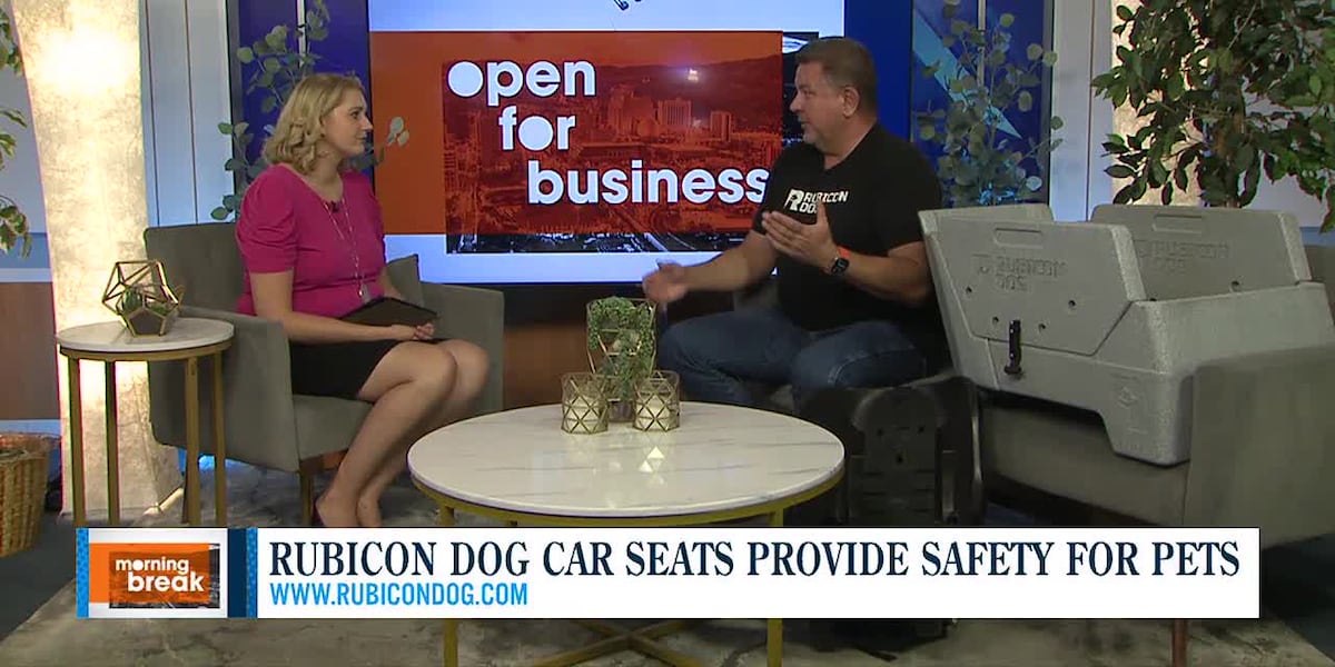 Open for Business: Reno man creates first-of-its-kind car seat for dogs [Video]