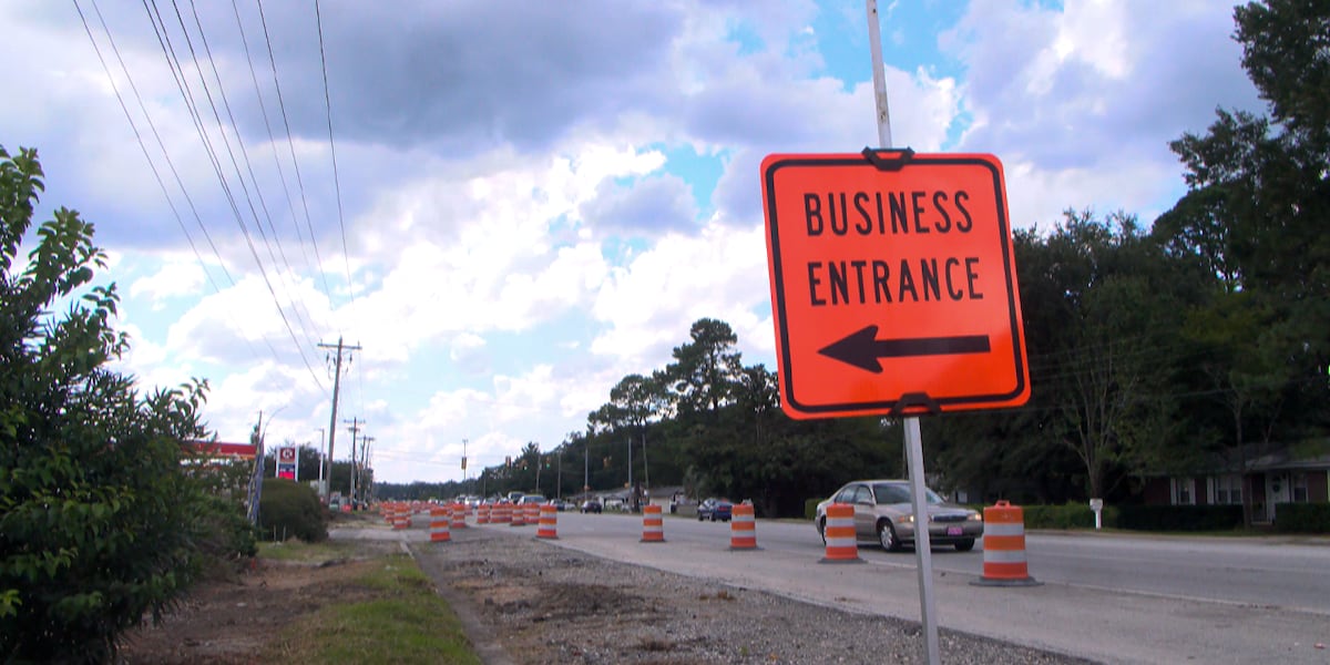 Small businesses demand pause on drainage plans along Berkeley Co. road [Video]