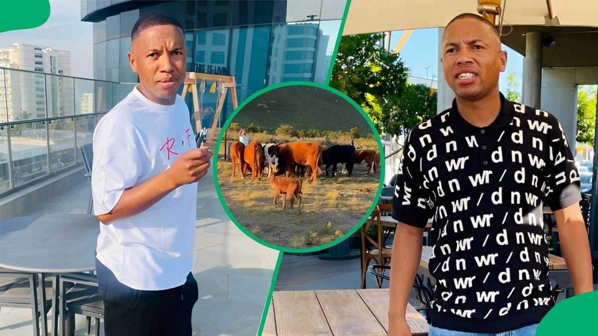 Andile Jali Shows Off his Herd of Cattle, Video has SA Talking: “You’re Setting an Example”