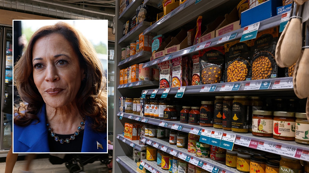 ‘Nail in the coffin’: Grocer turned House lawmaker trashes Kamala Harris’ price control plan [Video]