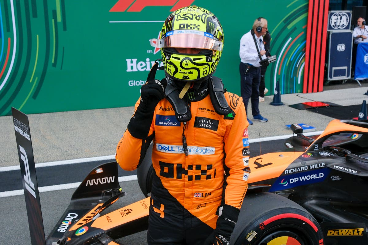 F1: Lando Norris claims pole position ahead of Max Verstappen to silence Dutch crowd [Video]