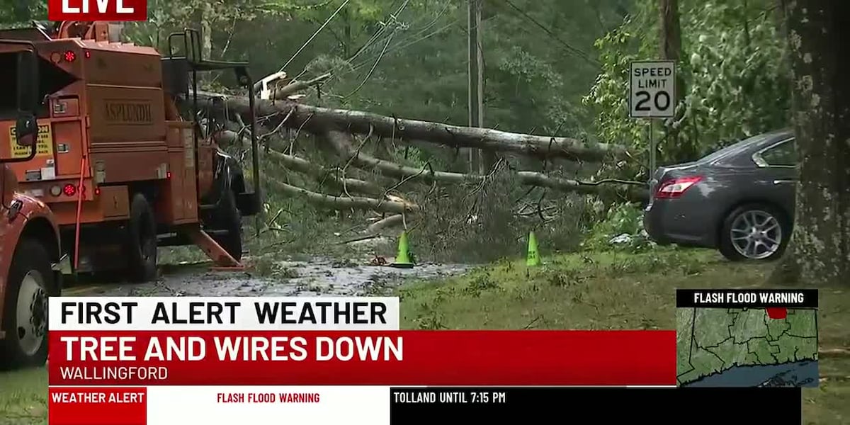 Trees and wires down in Wallingford [Video]