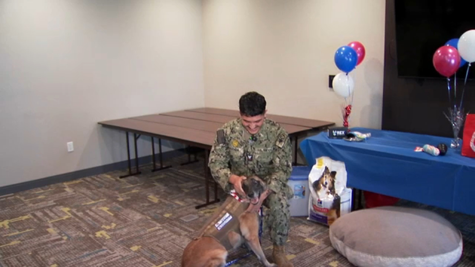 Military working dog reunited with handler after year apart [Video]