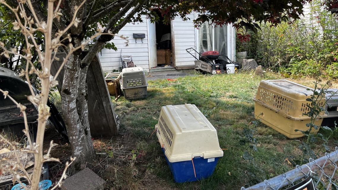 Dogs, cats seized from east Portland home [Video]