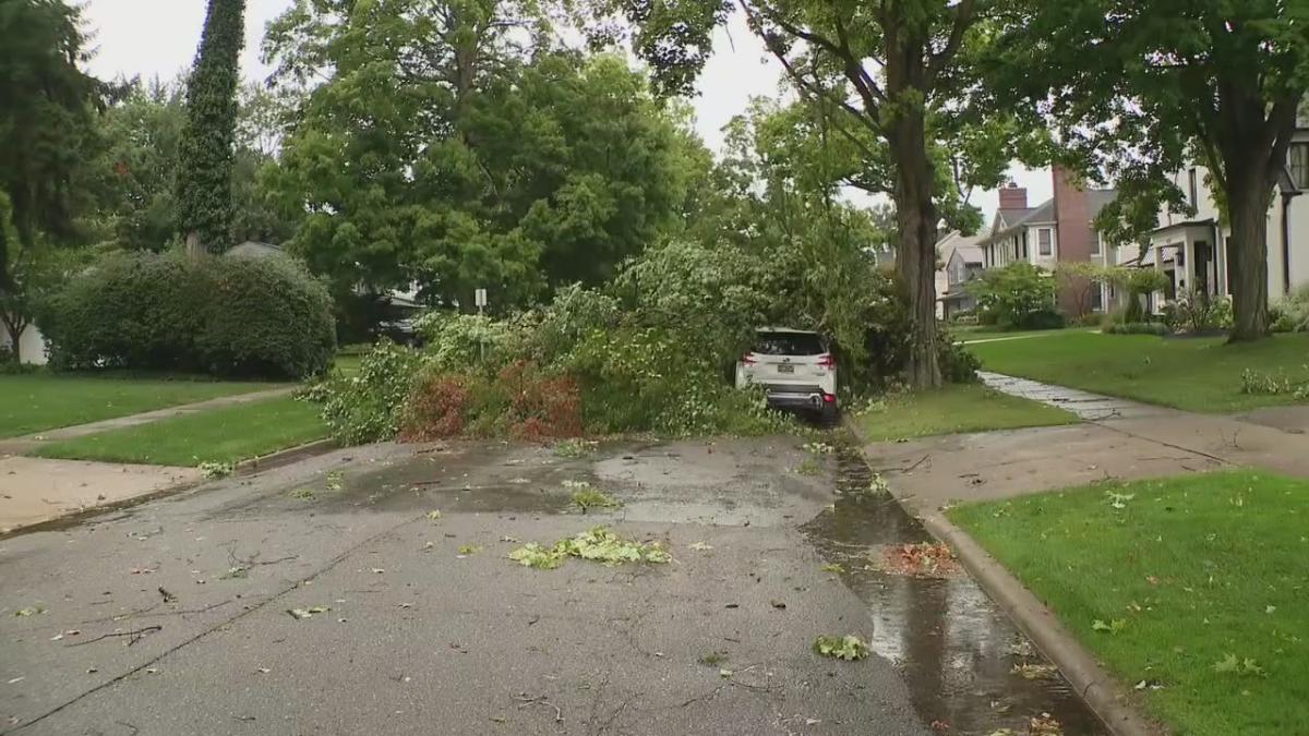 Power outages, poles and trees toppled, wires down [Video]