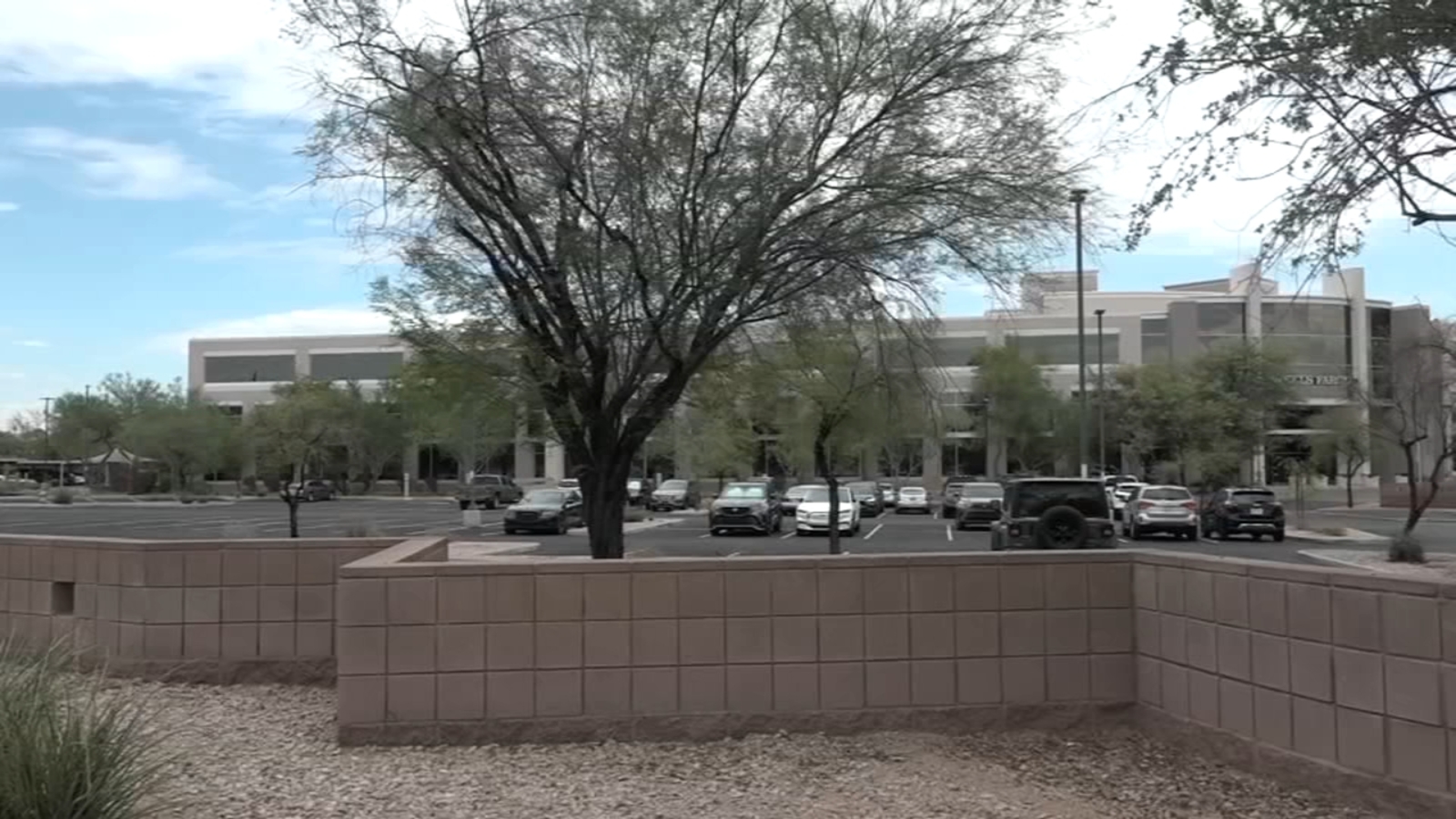 Arizona Wells Fargo employee found dead in her cubicle at work, police say [Video]