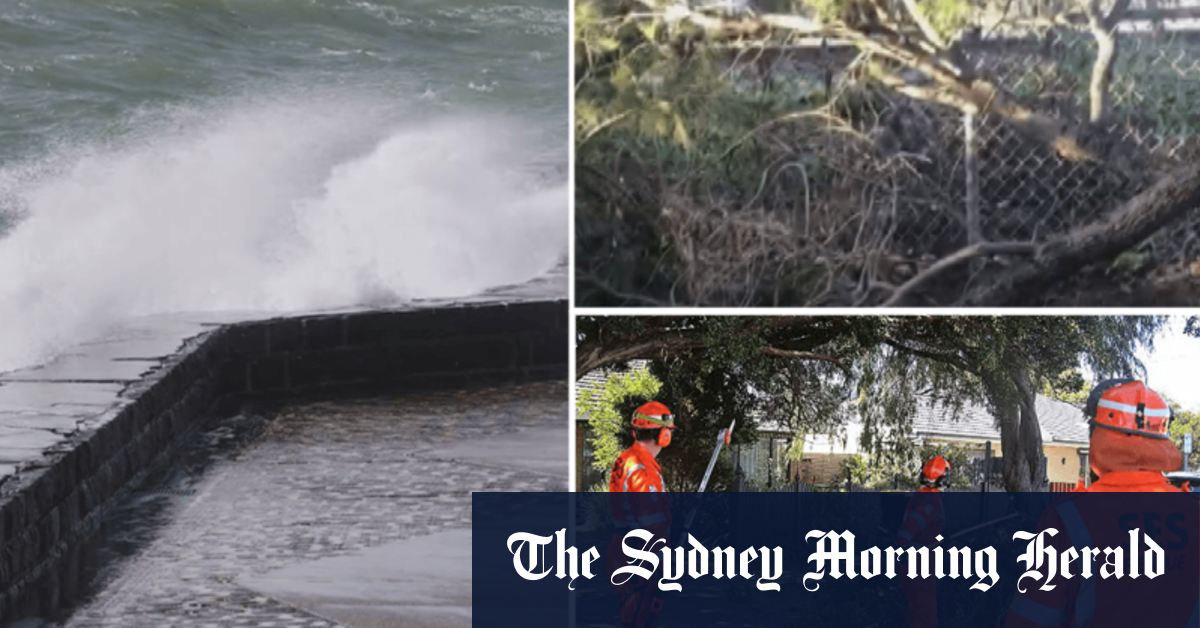 Victorians urged to work from home amid wild weather warning [Video]