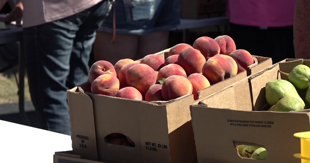 Rapid City locals treated to farm-fresh fruit for 40th year | Lifestyle [Video]