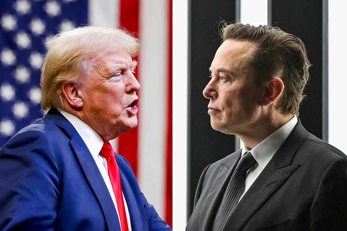 Trump could appoint Elon Musk to head committee axing wasteful government programs [Video]