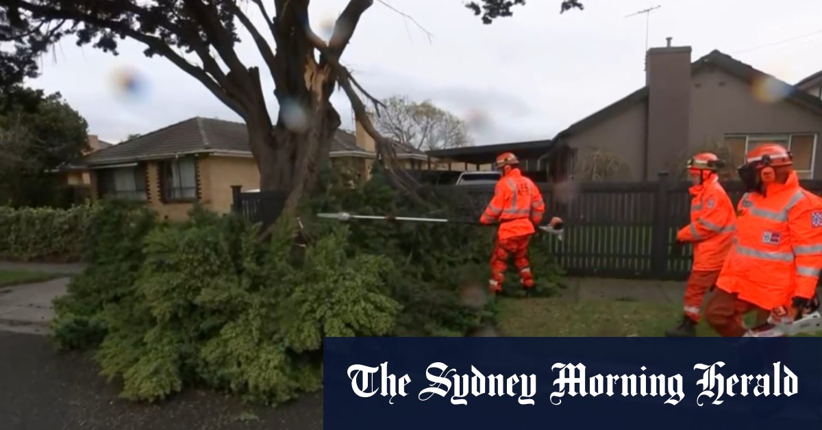 Crews work to restore power to 40,000 Victorian households after wild weather [Video]