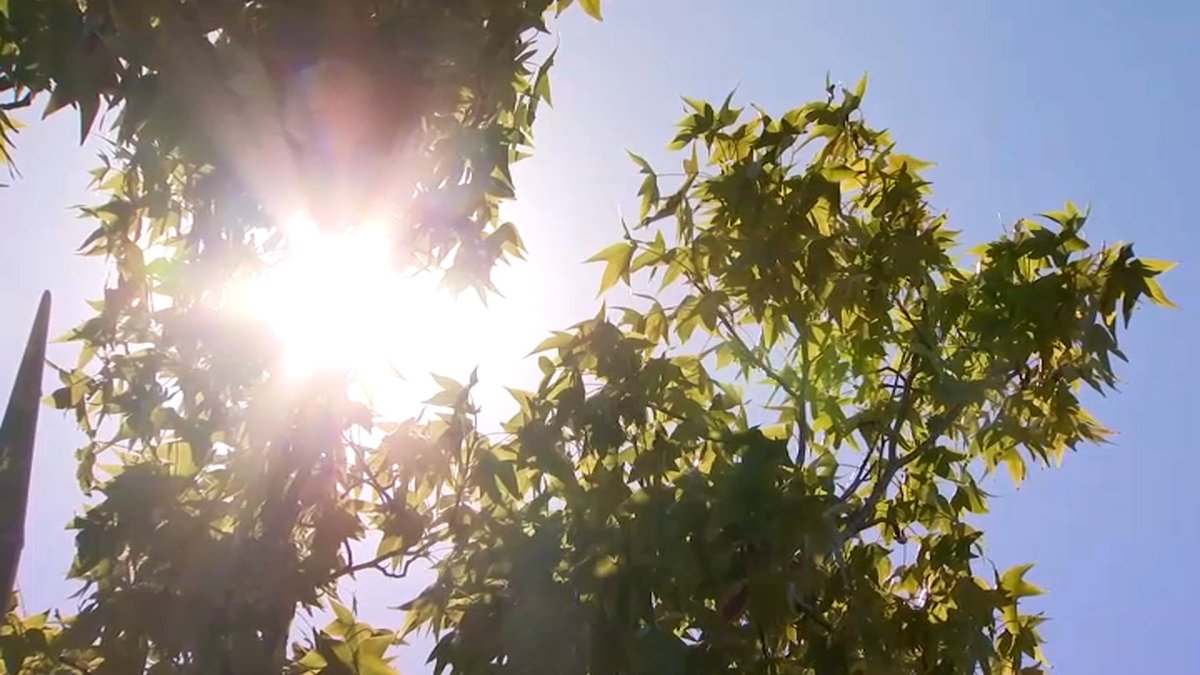 Warmer temperatures expected  NBC Bay Area [Video]