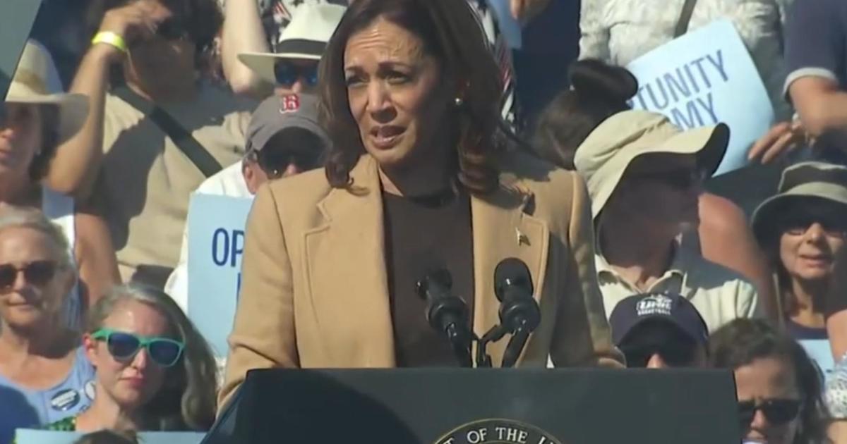 Harris unveils tax plan to help small businesses [Video]