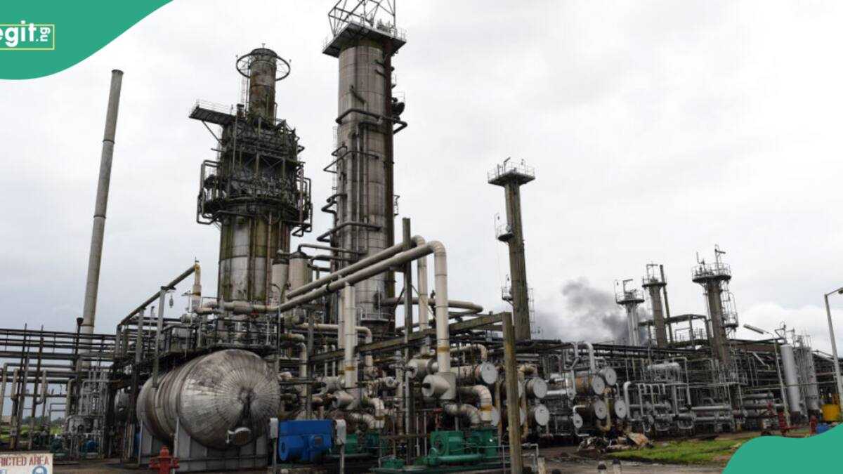 After Dangote, FG Grants Another Company Refinery Licence Expansion to Produce Fuel [Video]