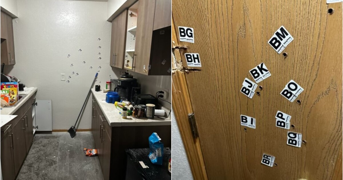 Man shares photos of bullet-riddled apartment after shootout [Video]