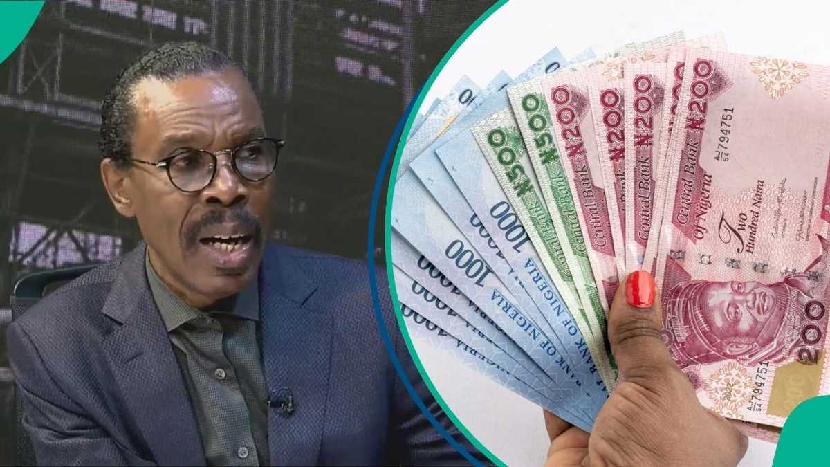 Expert Says Petrol Petrol Price Hike Will Make Nigerians Poorer, Estimates Losses in Homes [Video]