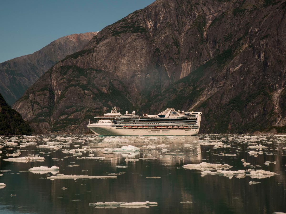 Video shows moment Carnival Cruise ship collides with floating ice in mini ‘Titanic-moment’ [Video]