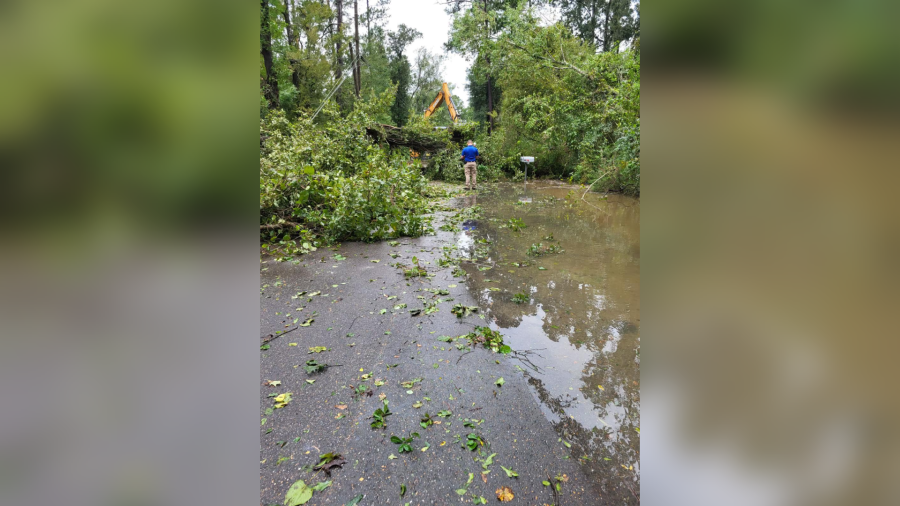 Crews in Livingston Parish work to clear roads, restore power after Francine hits Louisiana [Video]