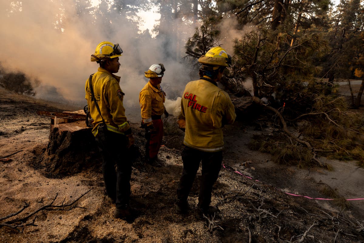 Mom defends son accused of starting California blaze thats torched 37,000 acres: My baby boy did not light that fire [Video]