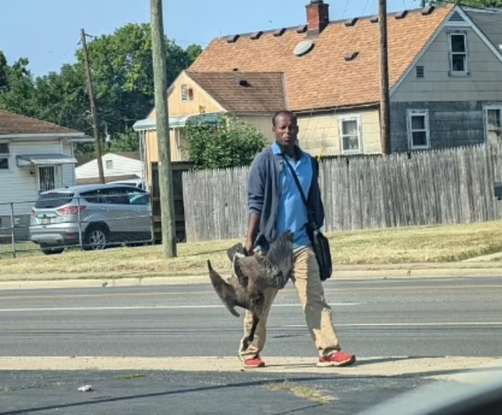 Ohio Wildlife Officials Unravels Mystery Behind Shock Photo of Man Carrying Dead Geese Through Street [Video]