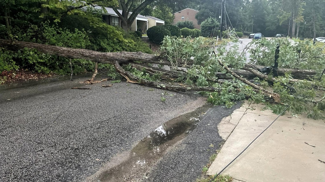 Tree down, power lines block Lexington road; outages for 125 home [Video]