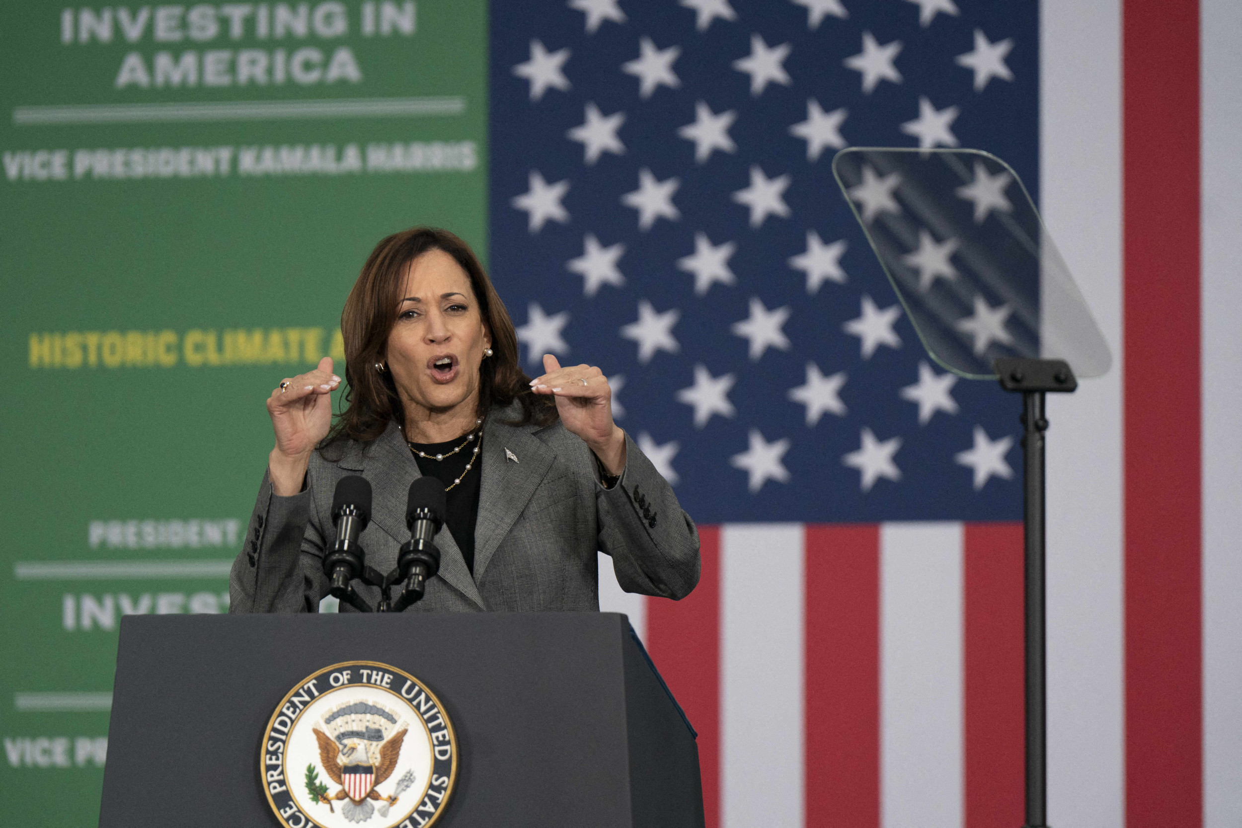 Kamala Harris Understands Tackling Climate Change Is Good Business | Opinion [Video]