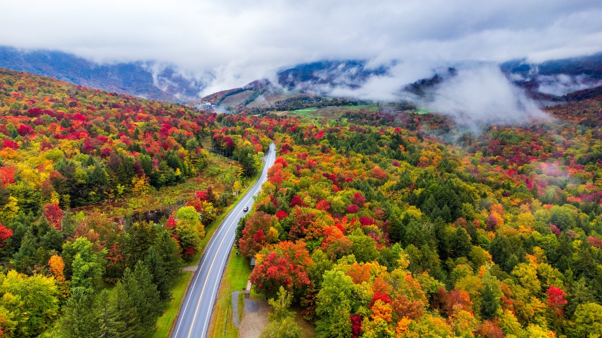 Fall foliage in New England starts early this year  NBC Boston [Video]