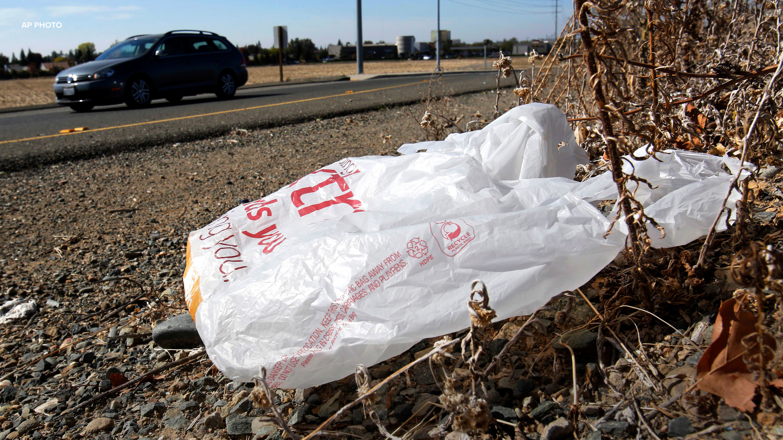 California Gov. Gavin Newsom signs law banning all plastic shopping bags at grocery stores [Video]