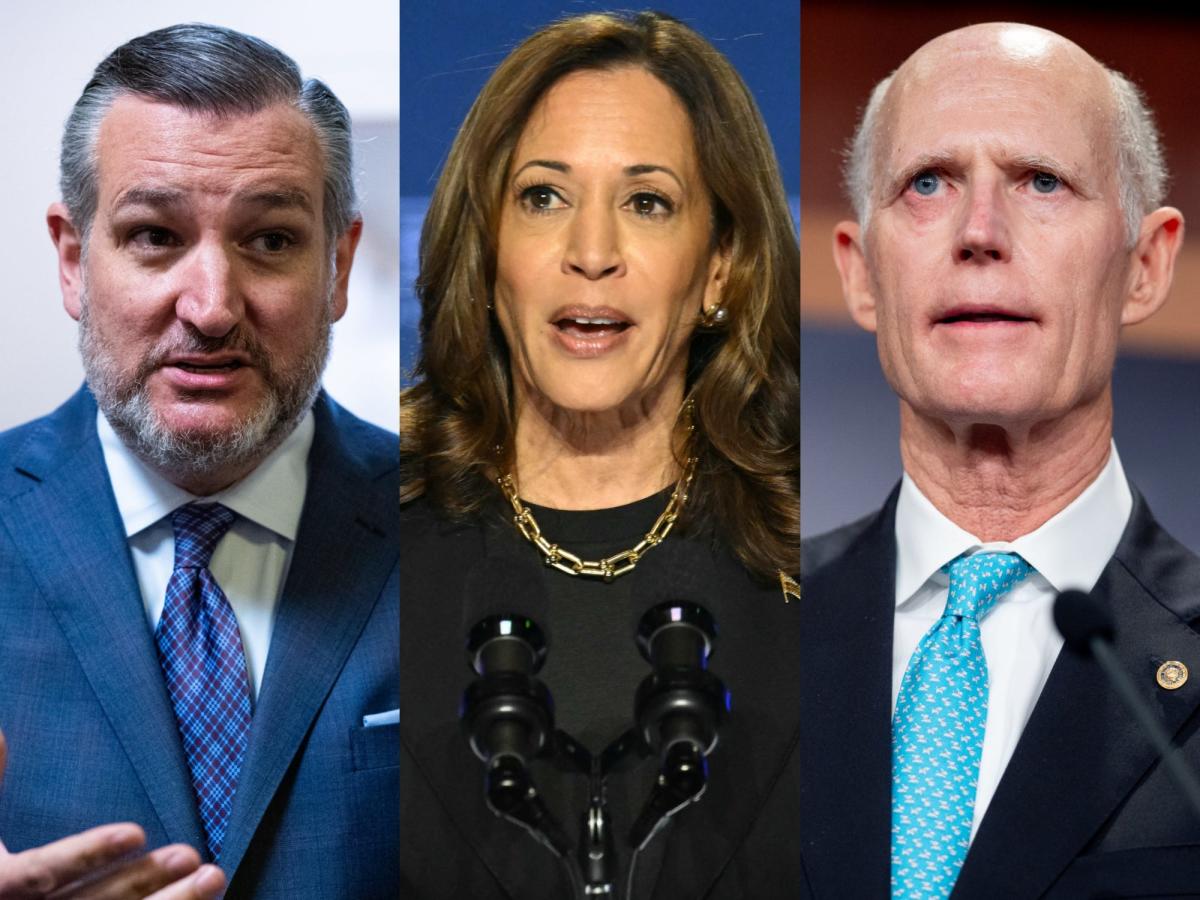 Kamala Harris’ economic agenda may now depend on beating Ted Cruz or Rick Scott [Video]