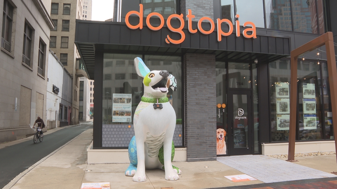 Dogtopia doggy daycare opening in downtown Cleveland [Video]