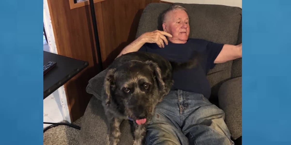 ‘I want him back’: Dog stolen from 87-year-old man [Video]