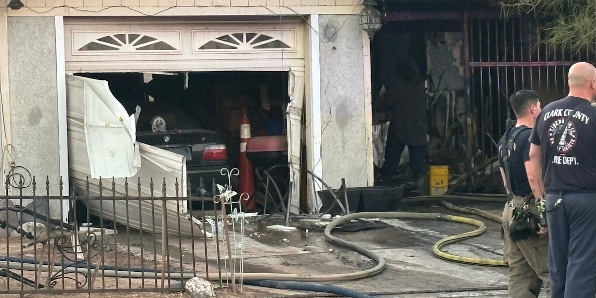 Dog dies in southeast Las Vegas house fire [Video]