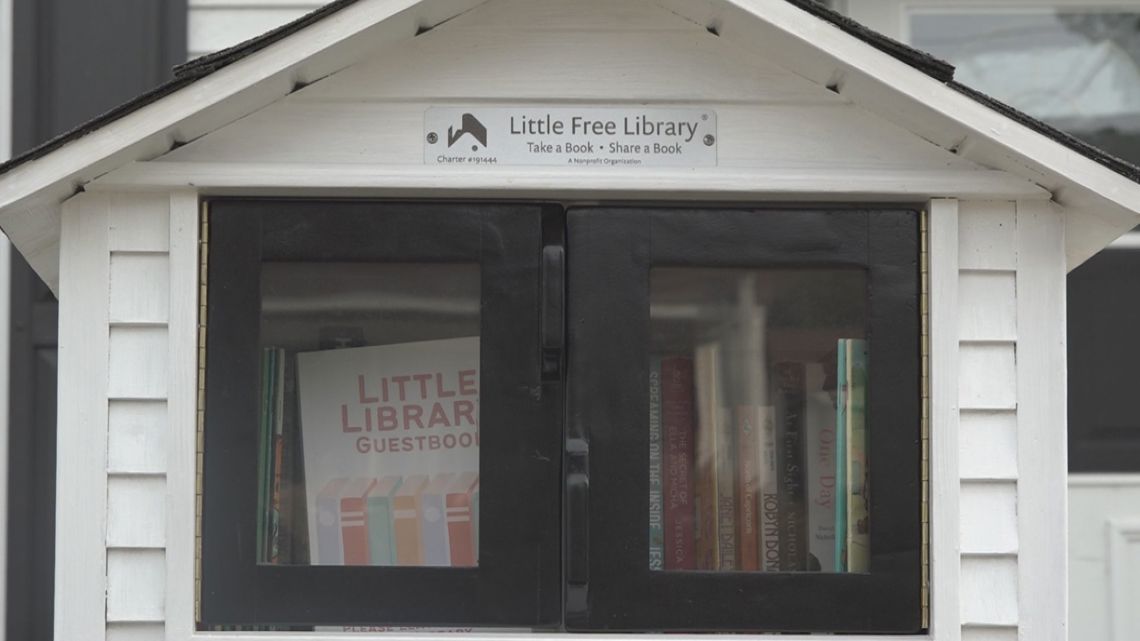 Several books taken from free little library in Grand Rapids [Video]