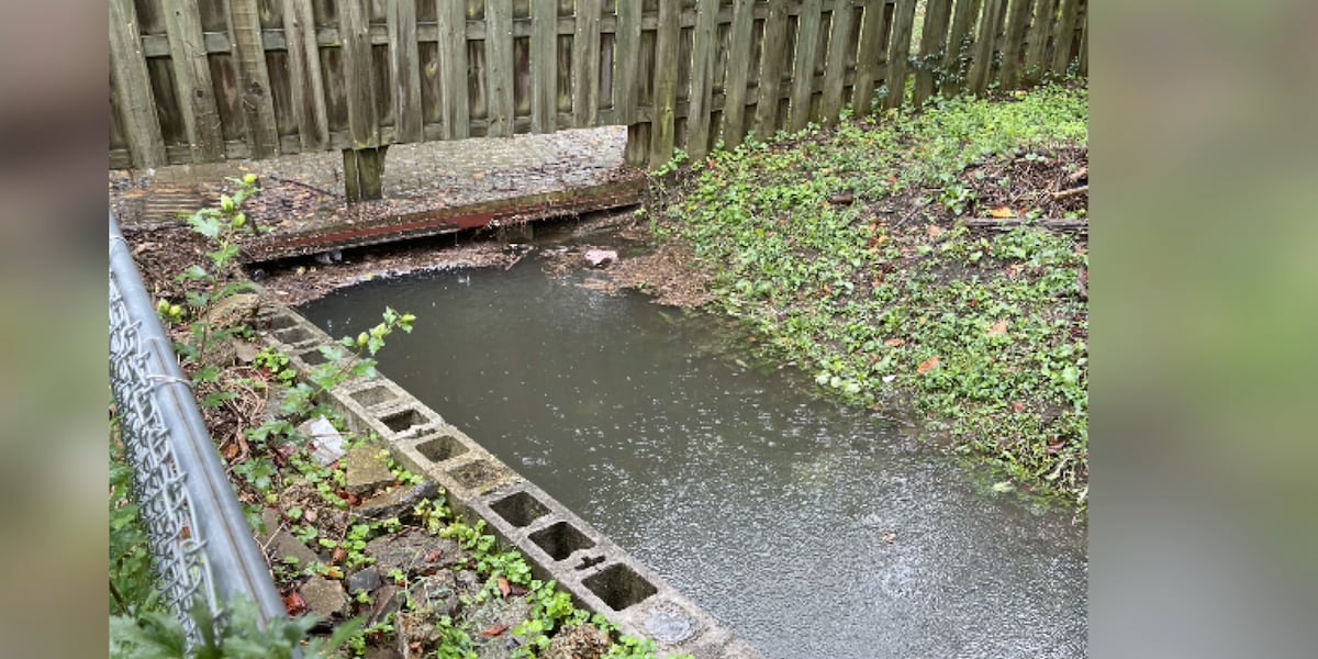 Inglewood homeowners prepare for rain and possible flooding from remnants of Hurricane Helene [Video]