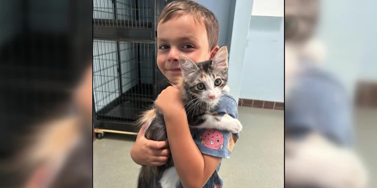 6-year-old boy starts ‘ poop scooping business to adopt a cat [Video]