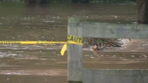 Tropical storm flooding brings debris to major drinking water supply [Video]