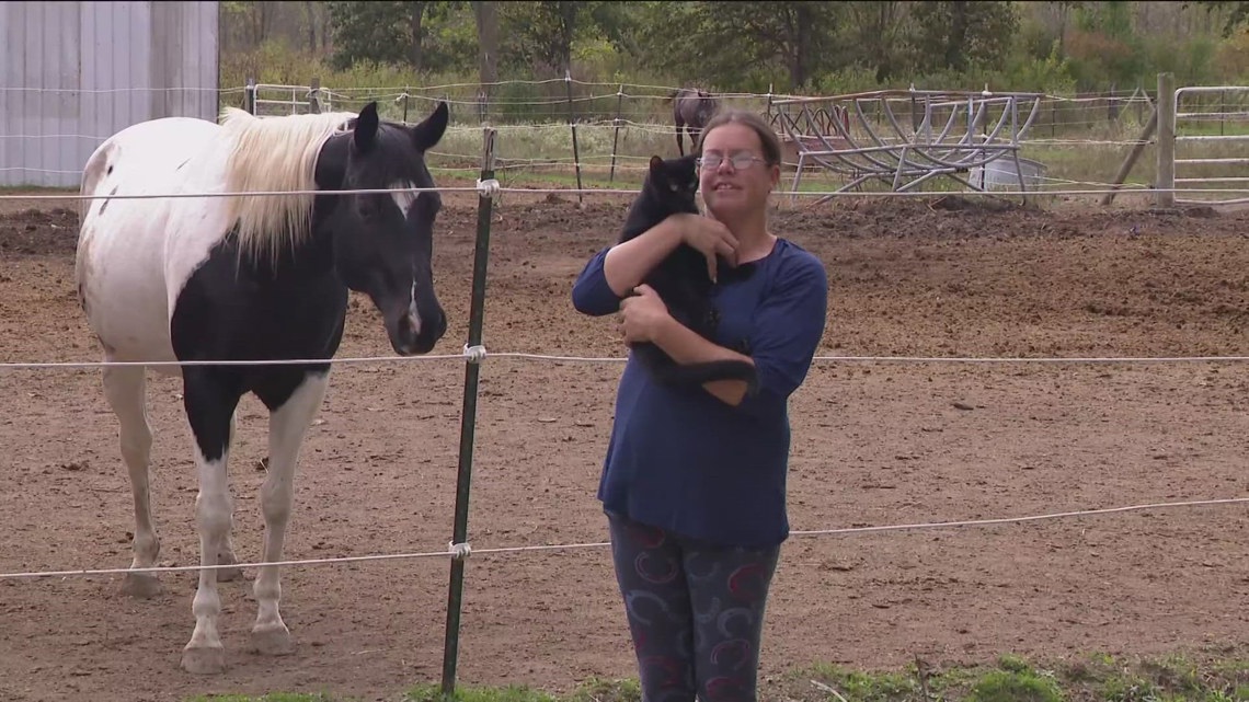 Walbridge stable owner charged with resisting arrest [Video]