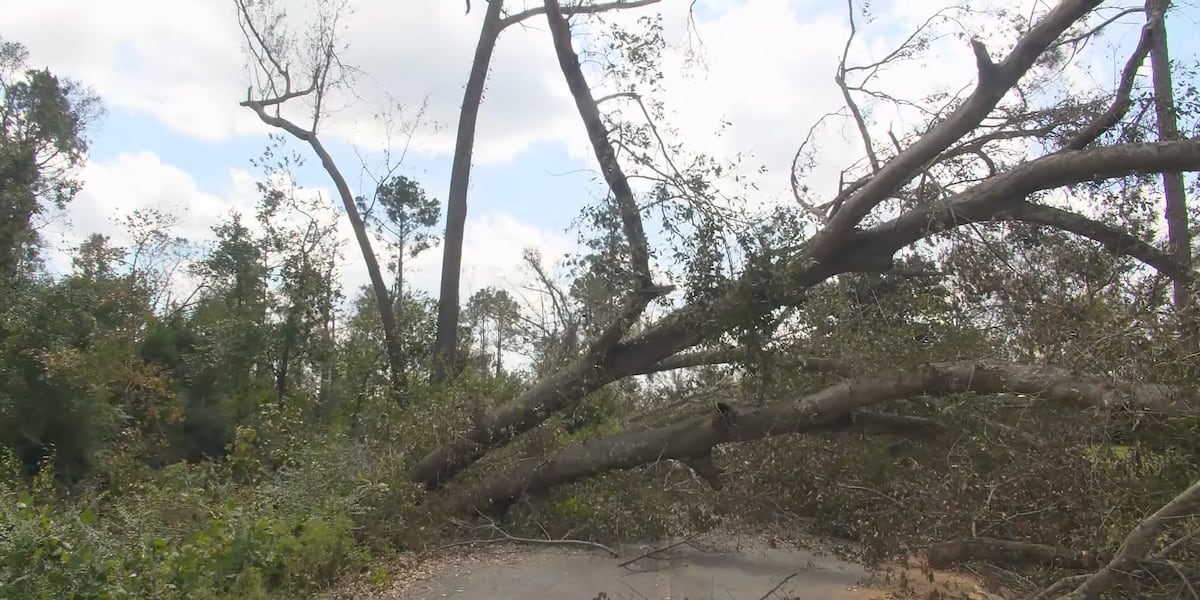 President Biden approves federal disaster funding for Georgians hit hard by Helene [Video]