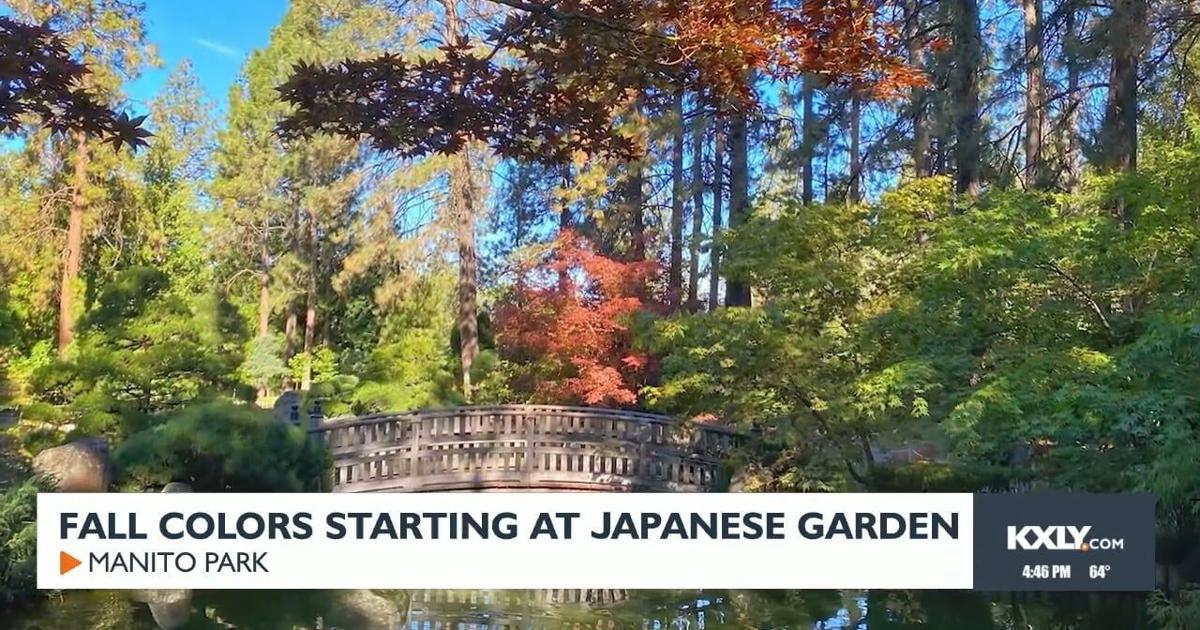 Fall colors starting at Japanese Garden in Manito Park | Video